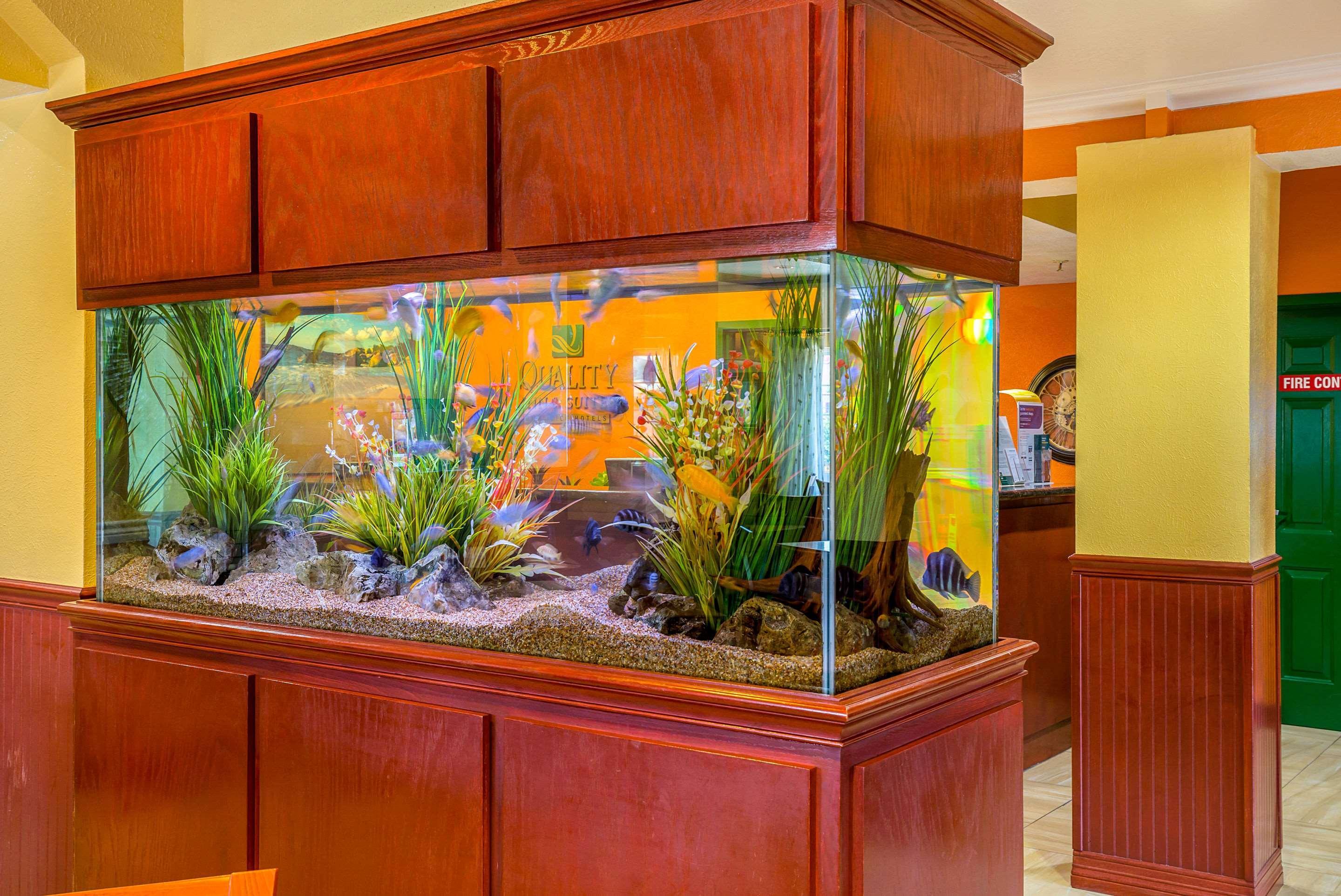 Quality Inn & Suites Galveston - Beachfront Zewnętrze zdjęcie